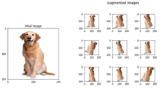 Fig. 2: Actual Image Along with a Variety of Augmented ImagesIII. MethodologyThe methodology employed in this research paper involves a systematic and rigorous approach to assess the impact of image augmentation techniques on object detection accuracy. We begin by curating a diverse dataset with varied object classes and ground truth annotations. After dataset preprocessing, we implement a baseline object detection model without augmentation. Subsequently, we introduce three image augmentation techniques: Rotation, Horizontal Flip, and Color Jittering. Each technique is integrated into the training process using a common deep learning architecture. Mean Average Precision (mAP) and Average Intersection over Union (IoU) metrics are utilized to quantitatively evaluate the performance of each model. To ensure the reliability of our findings, experiments are conducted multiple times with random initialization. The results serve as a foundation for a comprehensive comparison and analysis of the augmentation techniques' effectiveness in optimizing object detection tasks.