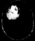Figure 7 :