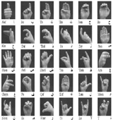 Arabic Alphabet and Numbers Sign Language Recognition Global Journal of Computer Science and Technology Volume XVII Issue II Version I Global Journa ls Inc. (US) Layerwise Training for Deep Belief Networks