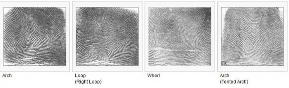 c) HardwareFingerprint scanner is the external device and it is the only one hardware used in this project. A portable fingerprint scanner is directly connected to computer using USB port. Fingerprint scanner is generally used for the identification of a person based on unique patterns and ridges of fingerprint. Fingerprint matched a reference number or pin number with a person's name or account. Biometric plays a huge role for the identification of worker's information and security. There are two types of fingerprint scanner: a. Optical scanner b.Attendance Management System for Industrial Worker Using Finger Print Scanner finger or palm (or toe or sole).