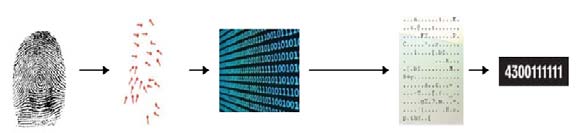 Figure 2 : Fingerprint